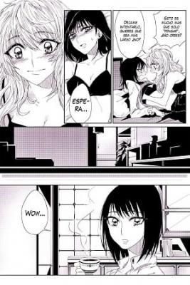 Portada de Original Yuri Manga