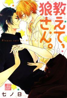 Portada de Oshiete Ookami San