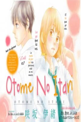 Portada de Otome No Itari