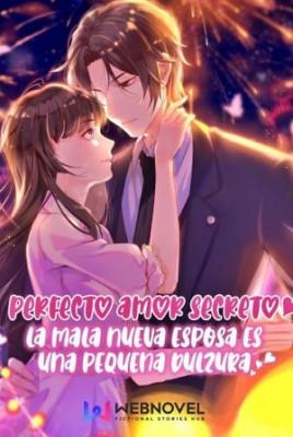 Portada de P A S Perfecto Amor Secreto