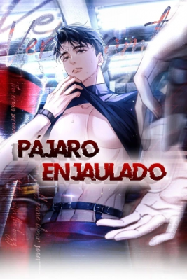 Portada de Pajaro Enjaulado