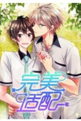 Portada de Perfect Adaptation