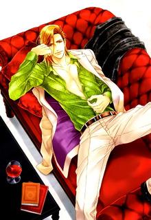 Portada de Perfect Kareshi