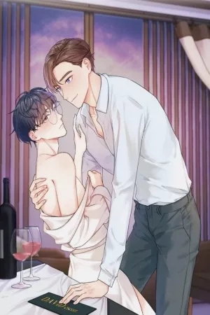 Portada de Perfect Partner