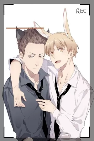 Portada de Picking light