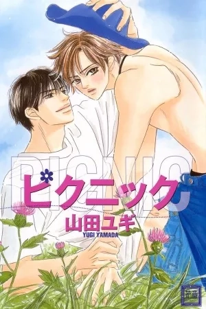 Portada de Picnic