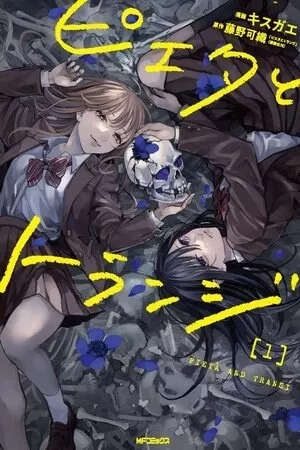 Portada de Pieta and Transi