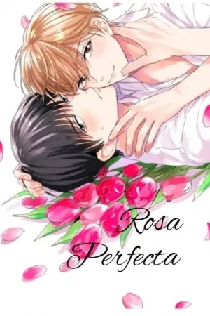 Portada de Pink perfect