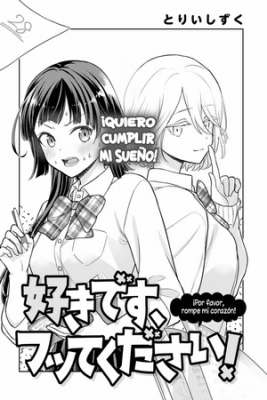 Portada de Por Favor Rompe Mi Corazon