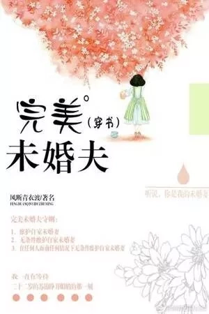 Portada de PROMETIDO PERFECTO