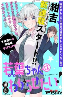 Portada de Quiero Entender A Wakaba Chan