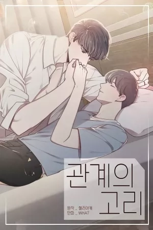 Portada de Relationship Link