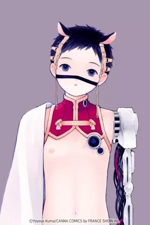 Portada de Sabi no Yume