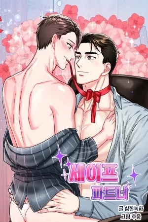 Portada de Safe Partner