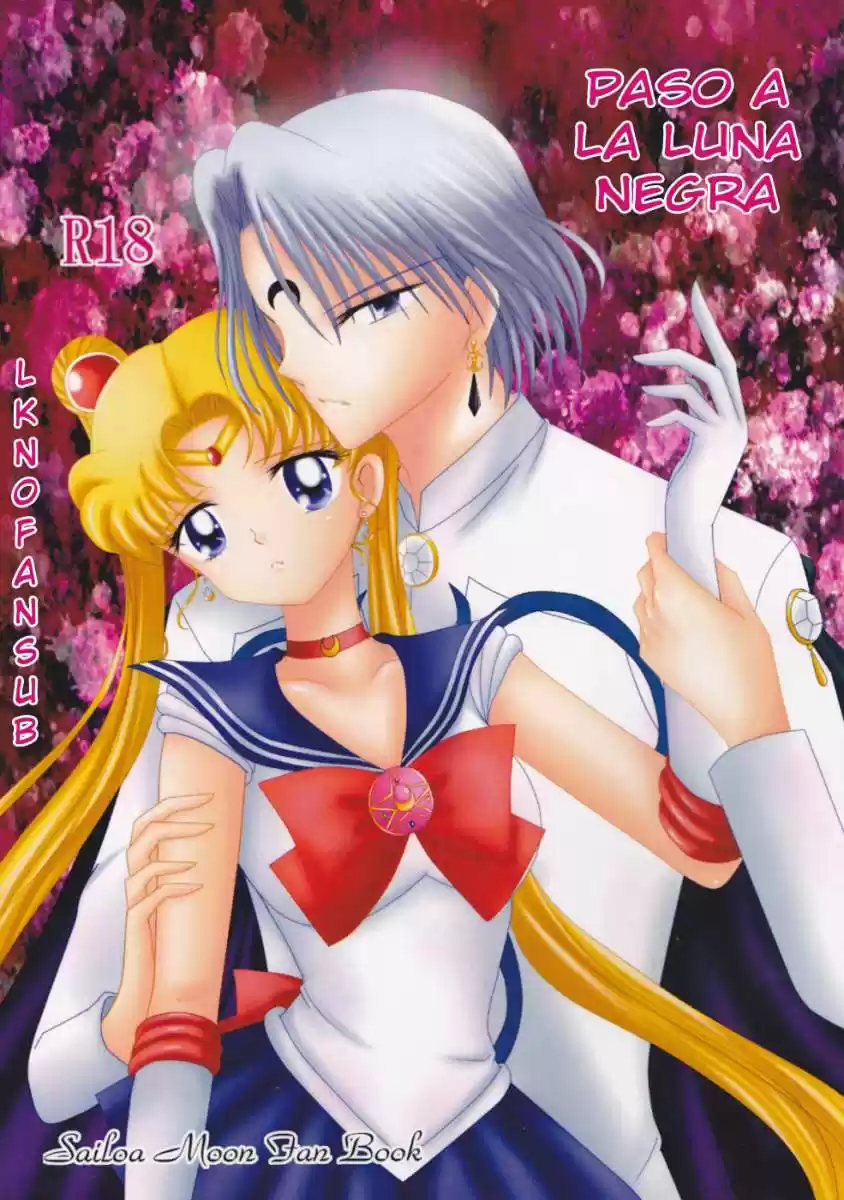 Portada de Sailor Moon Paso A La Luna Negra