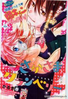 Portada de Sakasama Cranberry