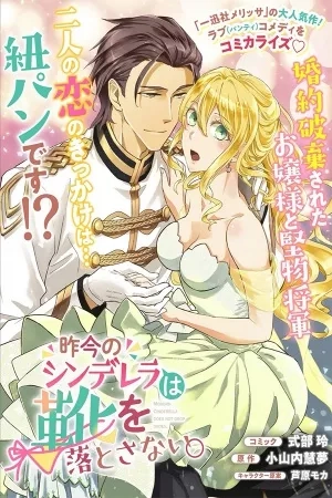 Portada de Sakkon no Cinderella wa Kutsu wo Otosanai