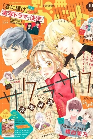 Portada de Sakura, Saku.