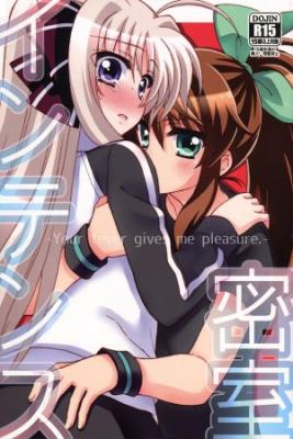 Portada de Secret Room Intense