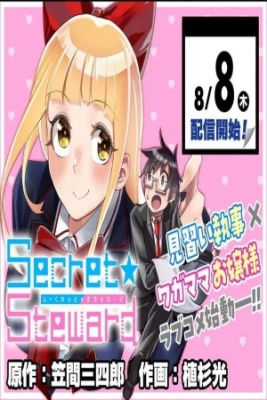 Portada de Secretsteward