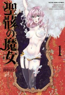 Portada de Seigai No Majo