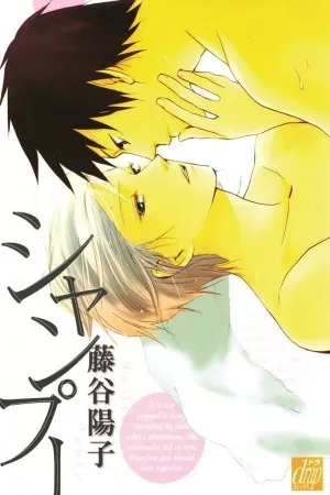 Portada de Shampoo