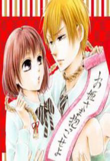 Portada de Shikigami Danshi
