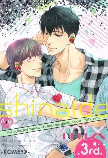 Portada de Shinaide Mix