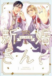 Portada de Shinkonsan