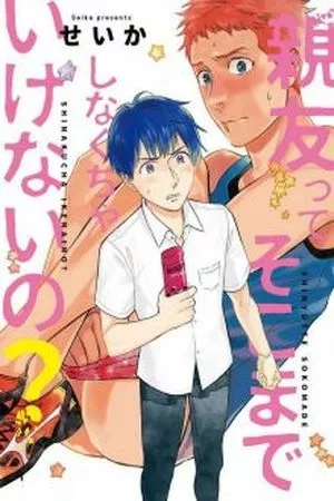 Portada de Shinyuu tte Soko Made Shinakucha Ikenai No