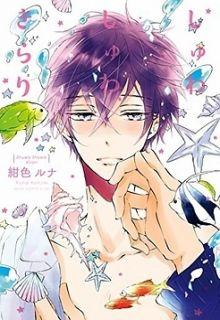 Portada de Shuwashuwa Kirari