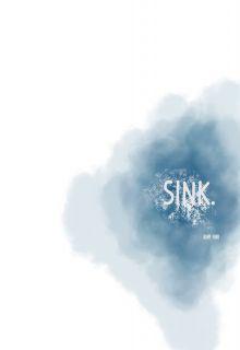 Portada de Sink