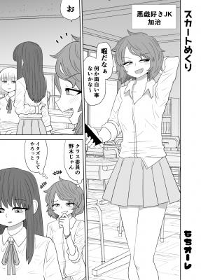 Portada de Skirt Flipping