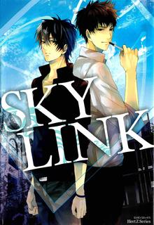 Portada de Sky Link