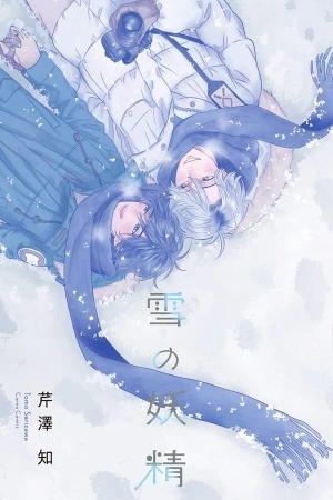 Portada de Snow fairy
