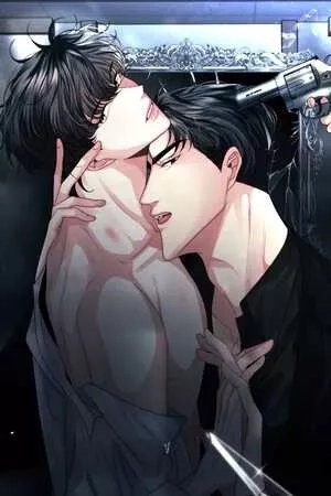 Portada de Sombra de Reencuentro
