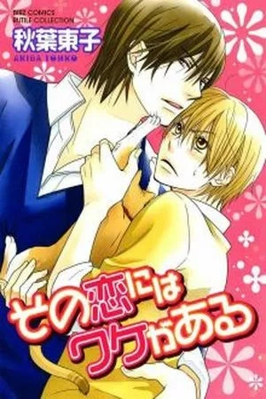 Portada de Sono Koi ni wa Wake ga Aru