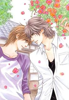 Portada de Soshite Bokura Wa Koi O Suru