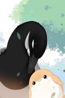 Portada de Southern Sparrow Northern Brant