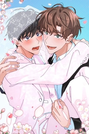 Portada de Special Application for Newlyweds