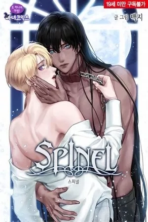 Portada de SPINEL