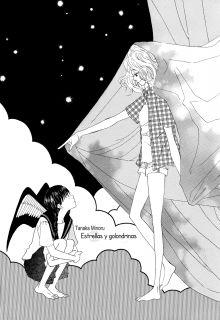 Portada de Stars And Swallows