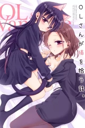 Portada de Story About OL-San Picking Up A Cat