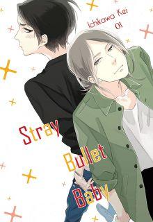 Portada de Stray Bullet Baby