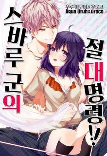 Portada de Subaru Kun S Absolute Order
