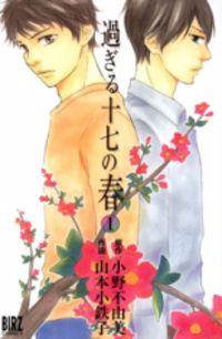 Portada de Sugiru 17 No Haru