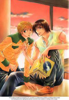 Portada de Suki Kamoshirenai