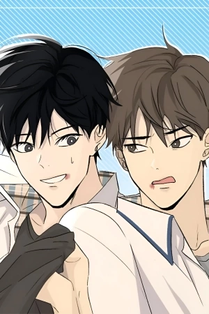Portada de Summer Night Lupine