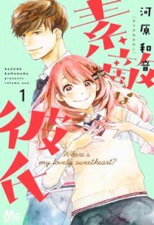 Portada de Suteki Na Kareshi