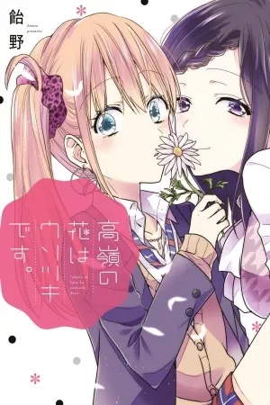 Portada de Takane no Hana wa Usotsuki desu